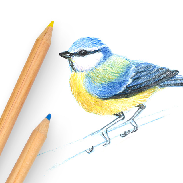 ki_monogatari_colored_pencil_feature_2